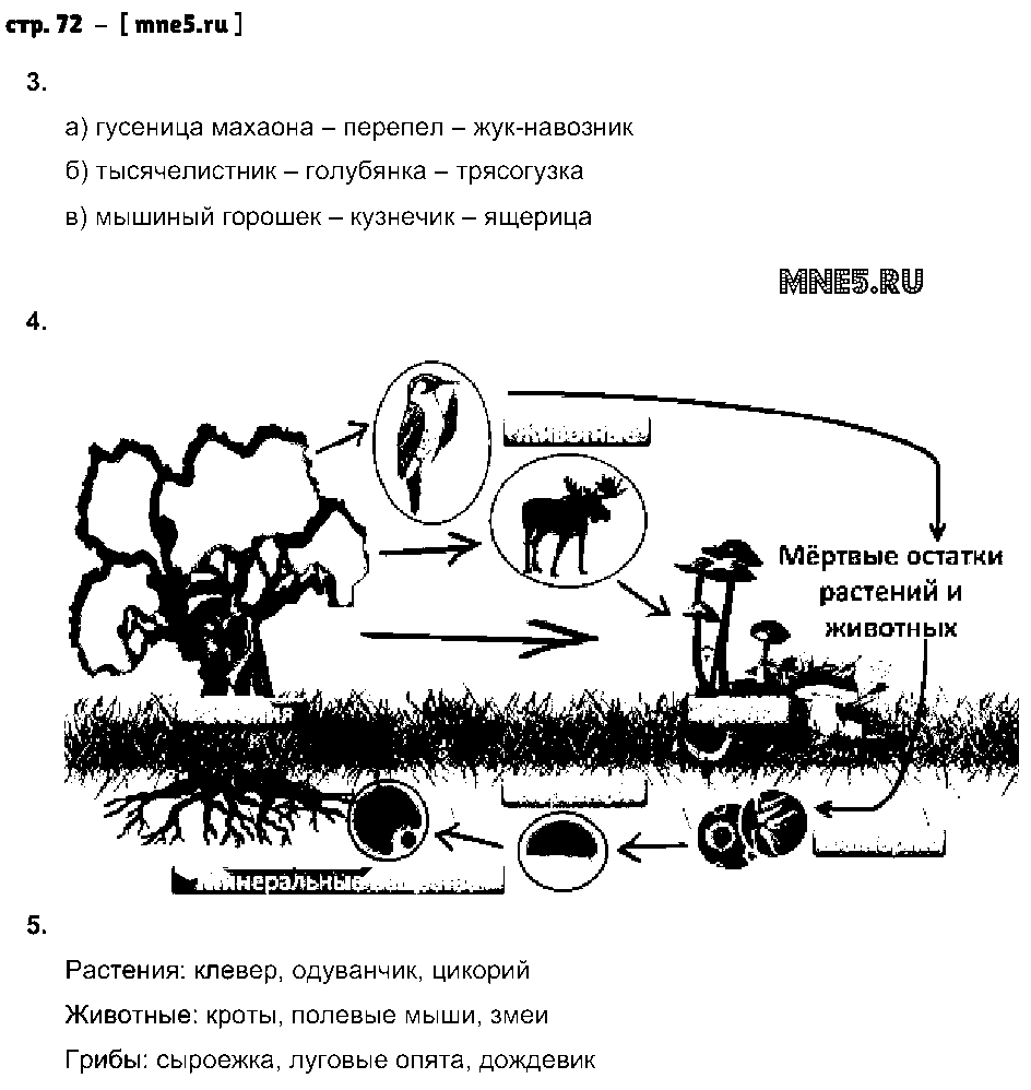 ГДЗ Биология 3 класс - стр. 72