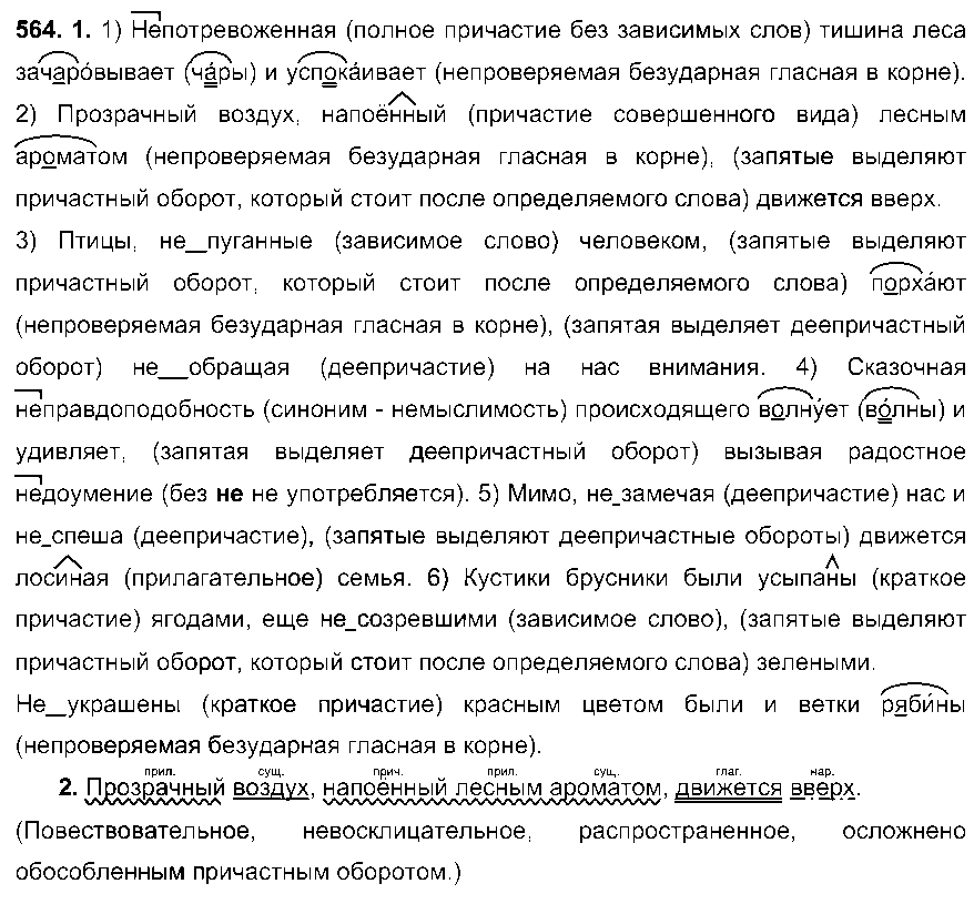 ГДЗ Русский язык 6 класс - 564