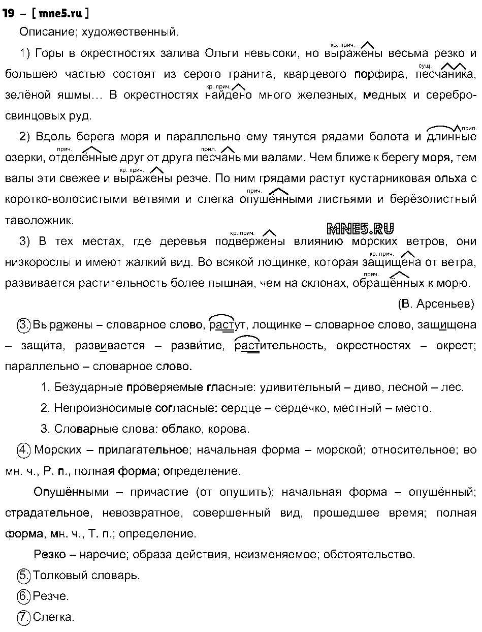 ГДЗ Русский язык 8 класс - 19