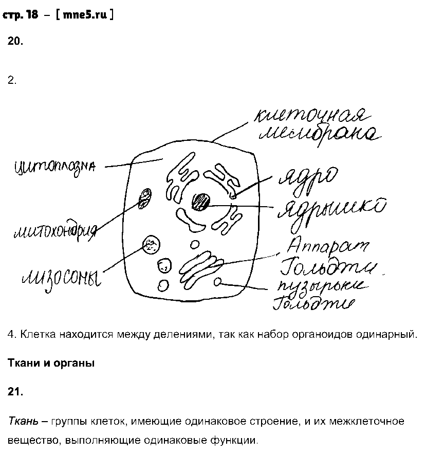 ГДЗ Биология 8 класс - стр. 18