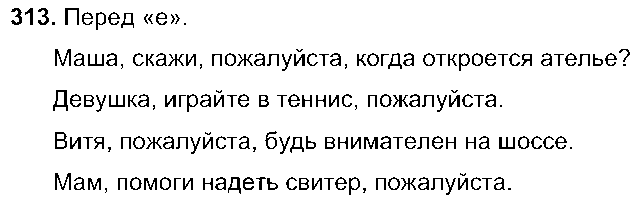 ГДЗ Русский язык 5 класс - 313