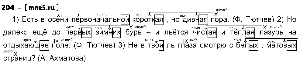 ГДЗ Русский язык 8 класс - 171