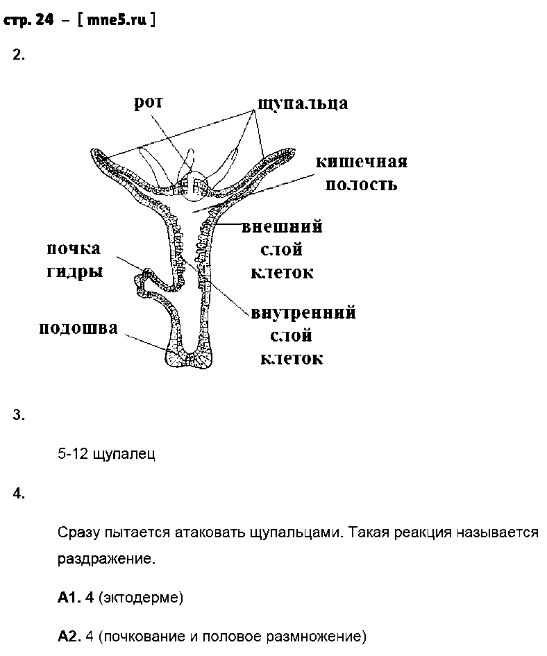 ГДЗ Биология 8 класс - стр. 24