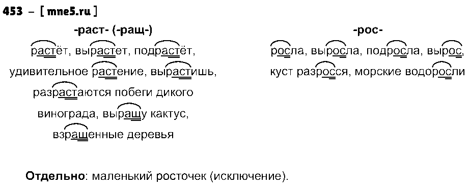 ГДЗ Русский язык 5 класс - 453