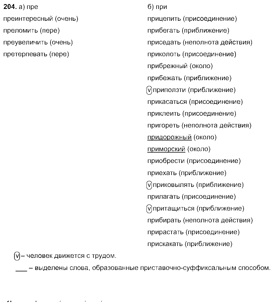ГДЗ Русский язык 6 класс - 204