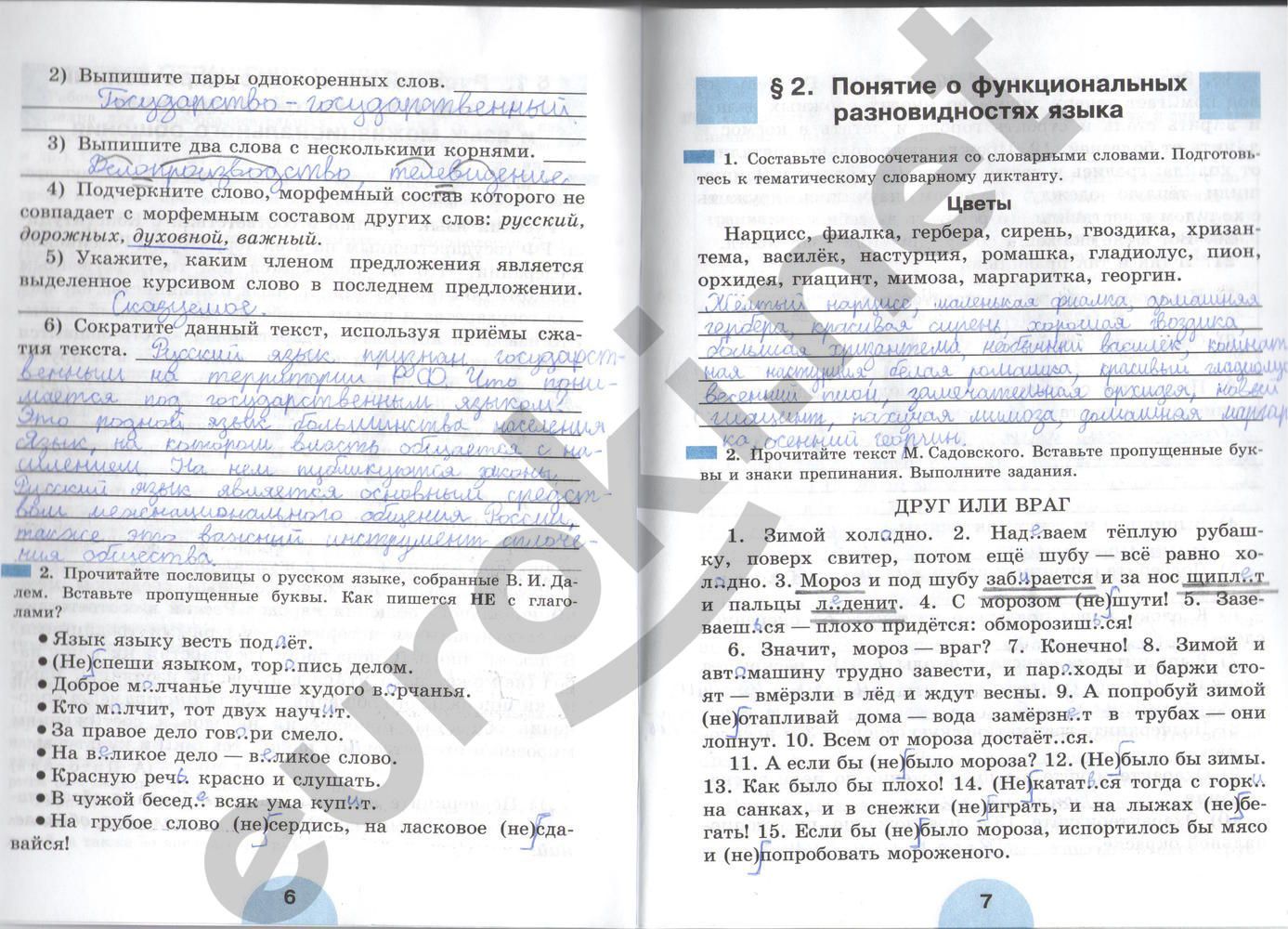 ГДЗ Русский язык 6 класс - стр. 6-7