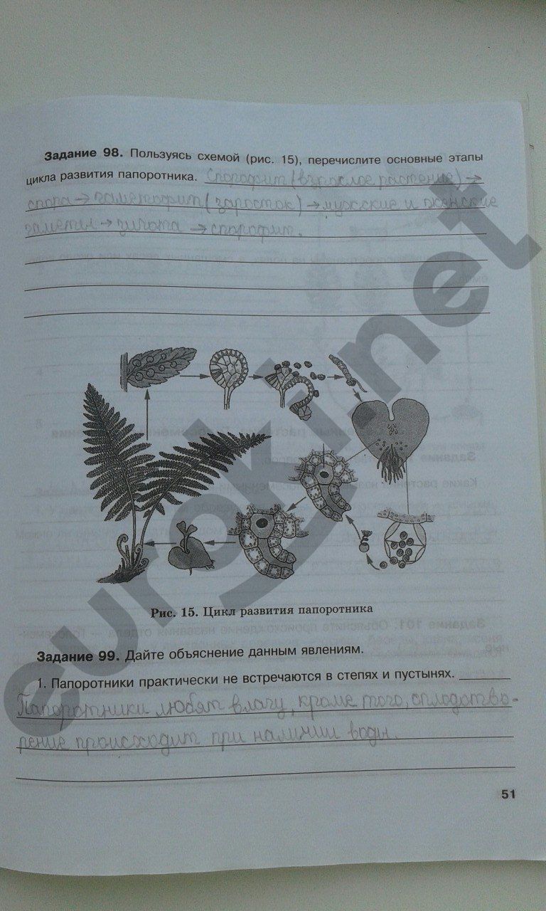 ГДЗ Биология 6 класс - стр. 51