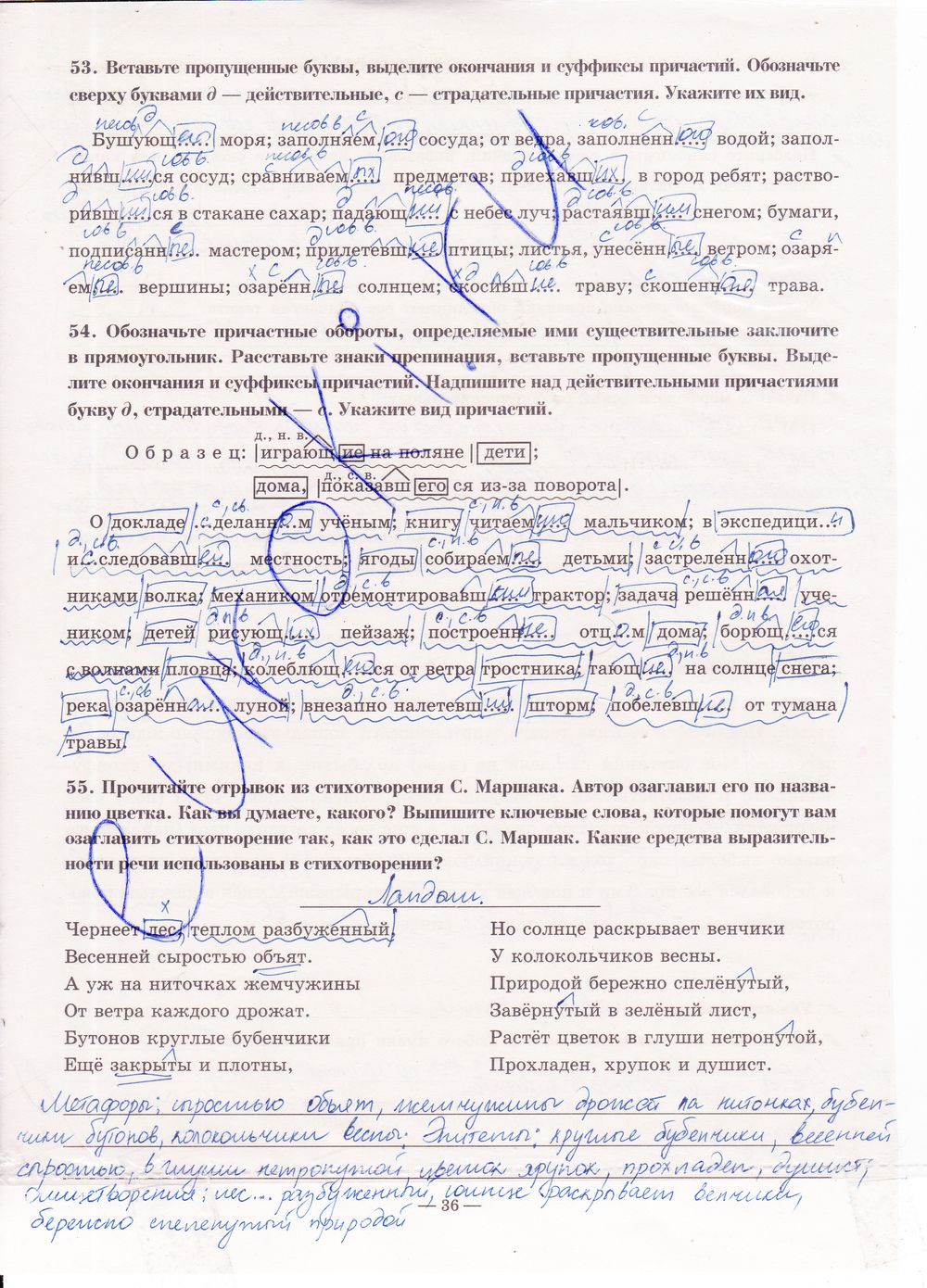 ГДЗ Русский язык 7 класс - стр. 36