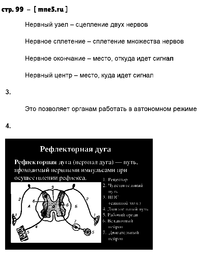ГДЗ Биология 8 класс - стр. 99