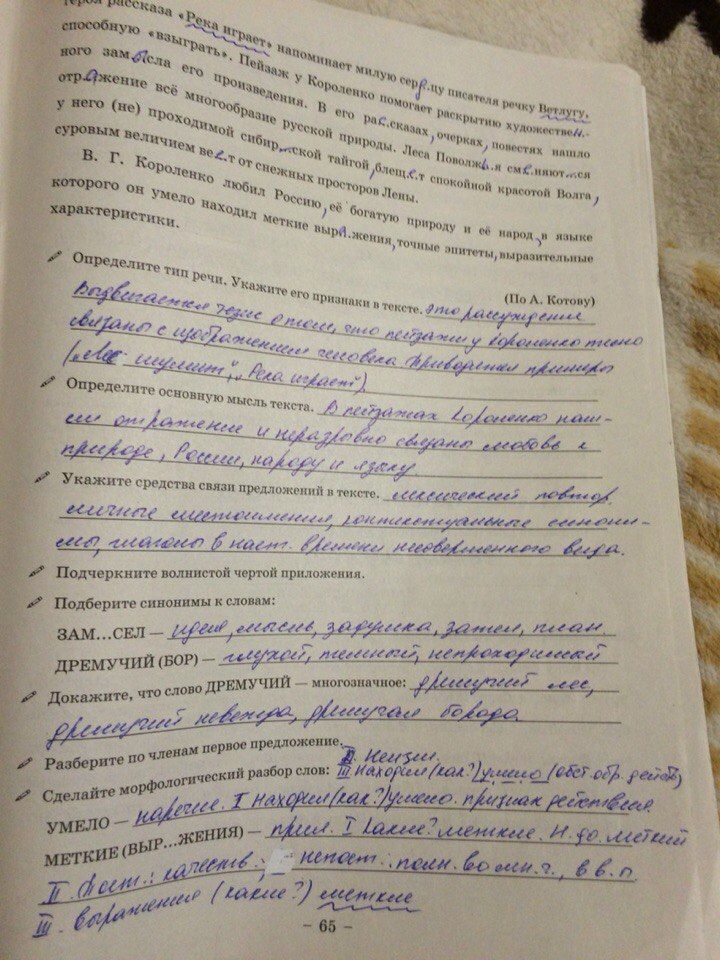 ГДЗ Русский язык 8 класс - стр. 65