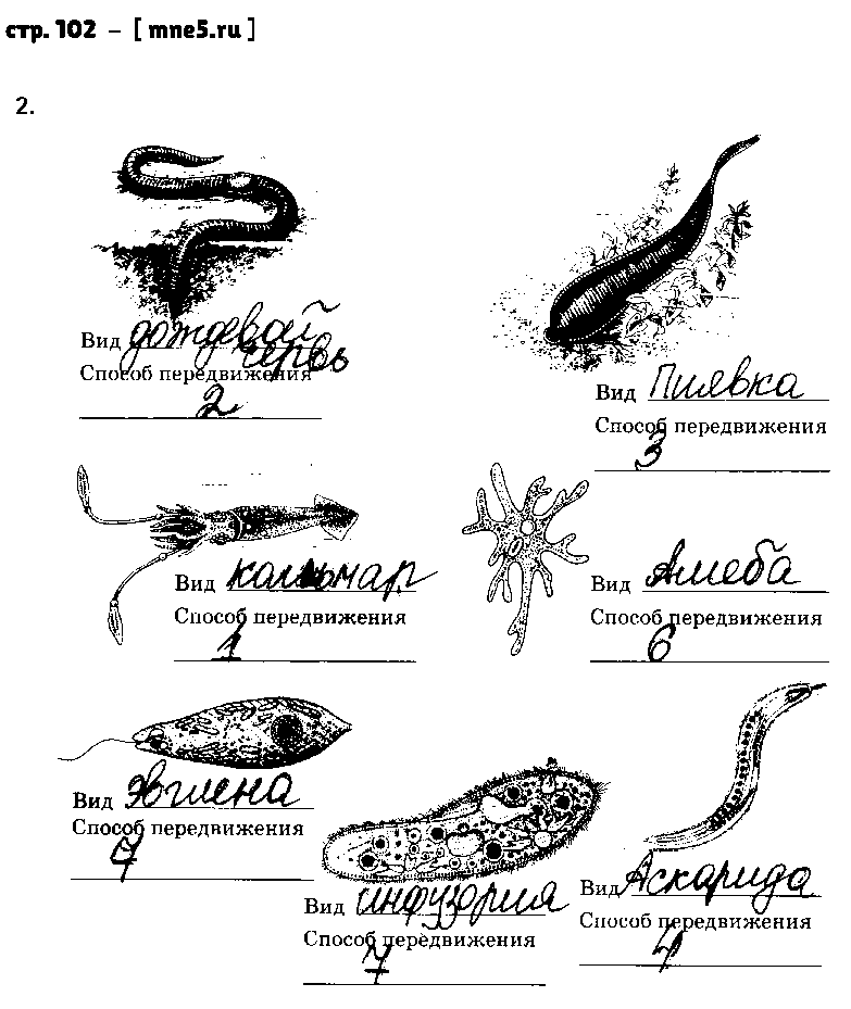 ГДЗ Биология 7 класс - стр. 102