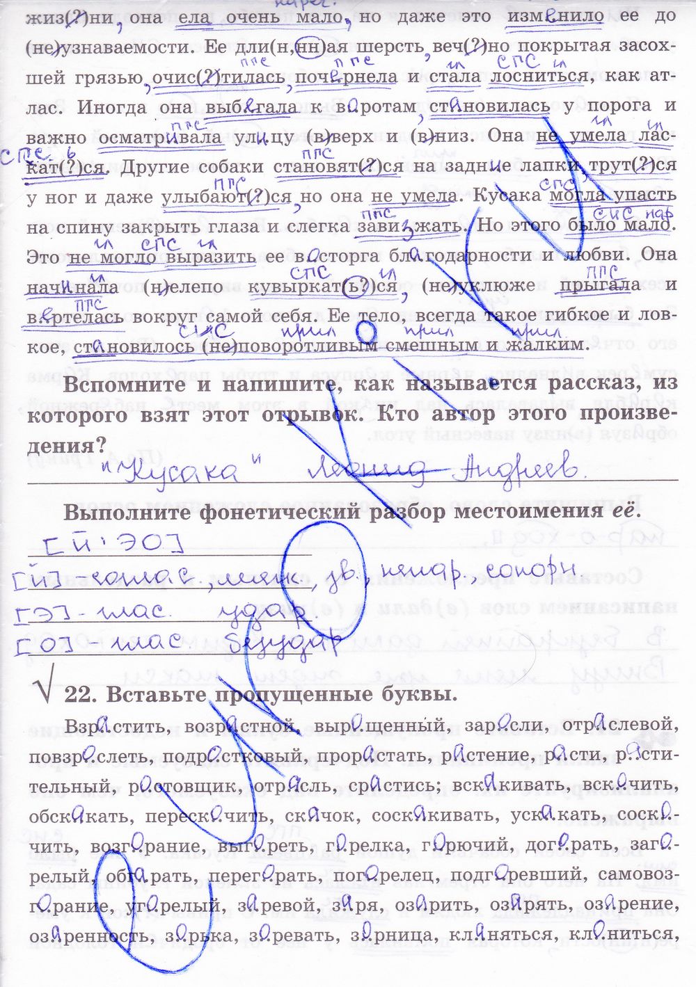 ГДЗ Русский язык 8 класс - стр. 22