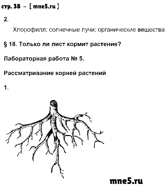 ГДЗ Биология 6 класс - стр. 38
