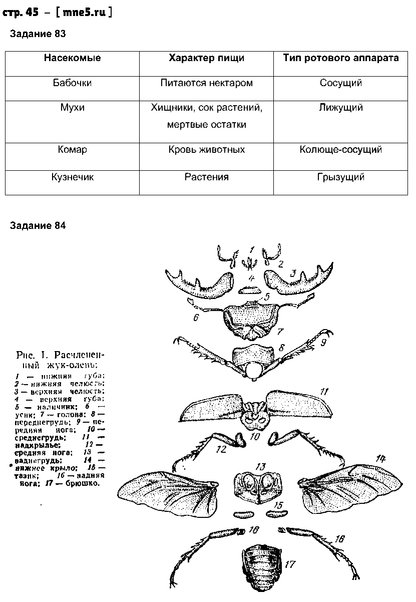 ГДЗ Биология 7 класс - стр. 45