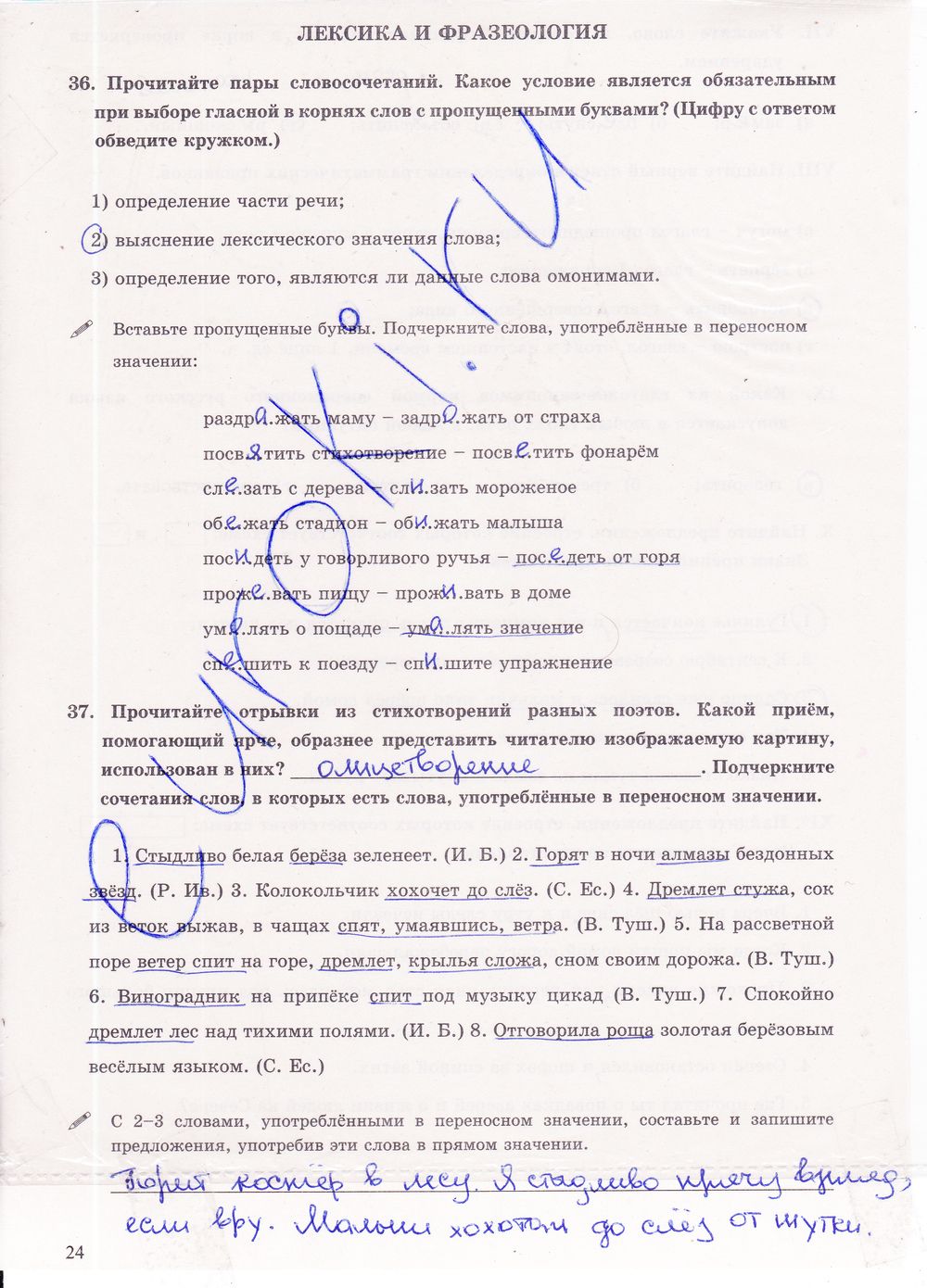 ГДЗ Русский язык 6 класс - стр. 24