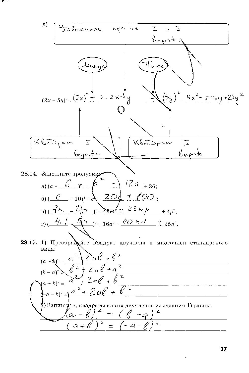 ГДЗ Алгебра 7 класс - стр. 37