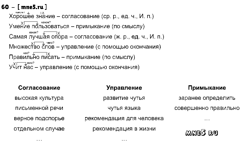 ГДЗ Русский язык 8 класс - 60