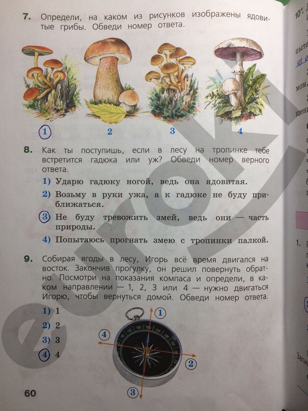 ГДЗ Биология 4 класс - стр. 60