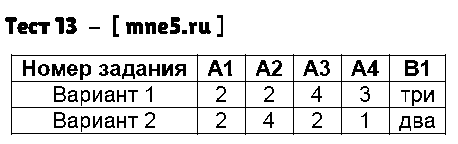 ГДЗ Русский язык 7 класс - Тест 13