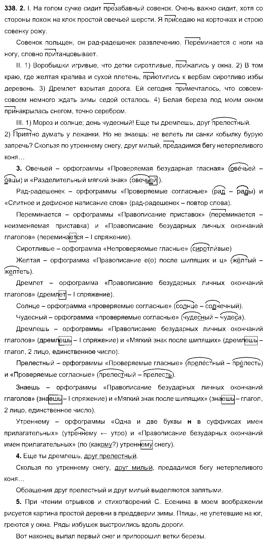 ГДЗ Русский язык 6 класс - 338