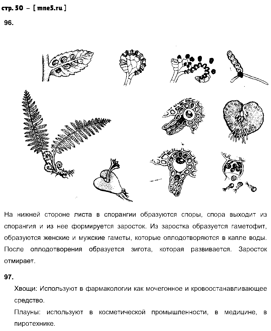 ГДЗ Биология 7 класс - стр. 50