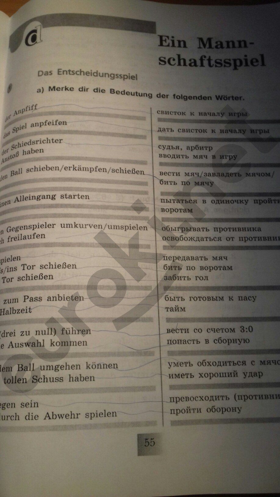 ГДЗ Немецкий язык 6 класс - стр. 55