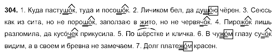 ГДЗ Русский язык 6 класс - 304
