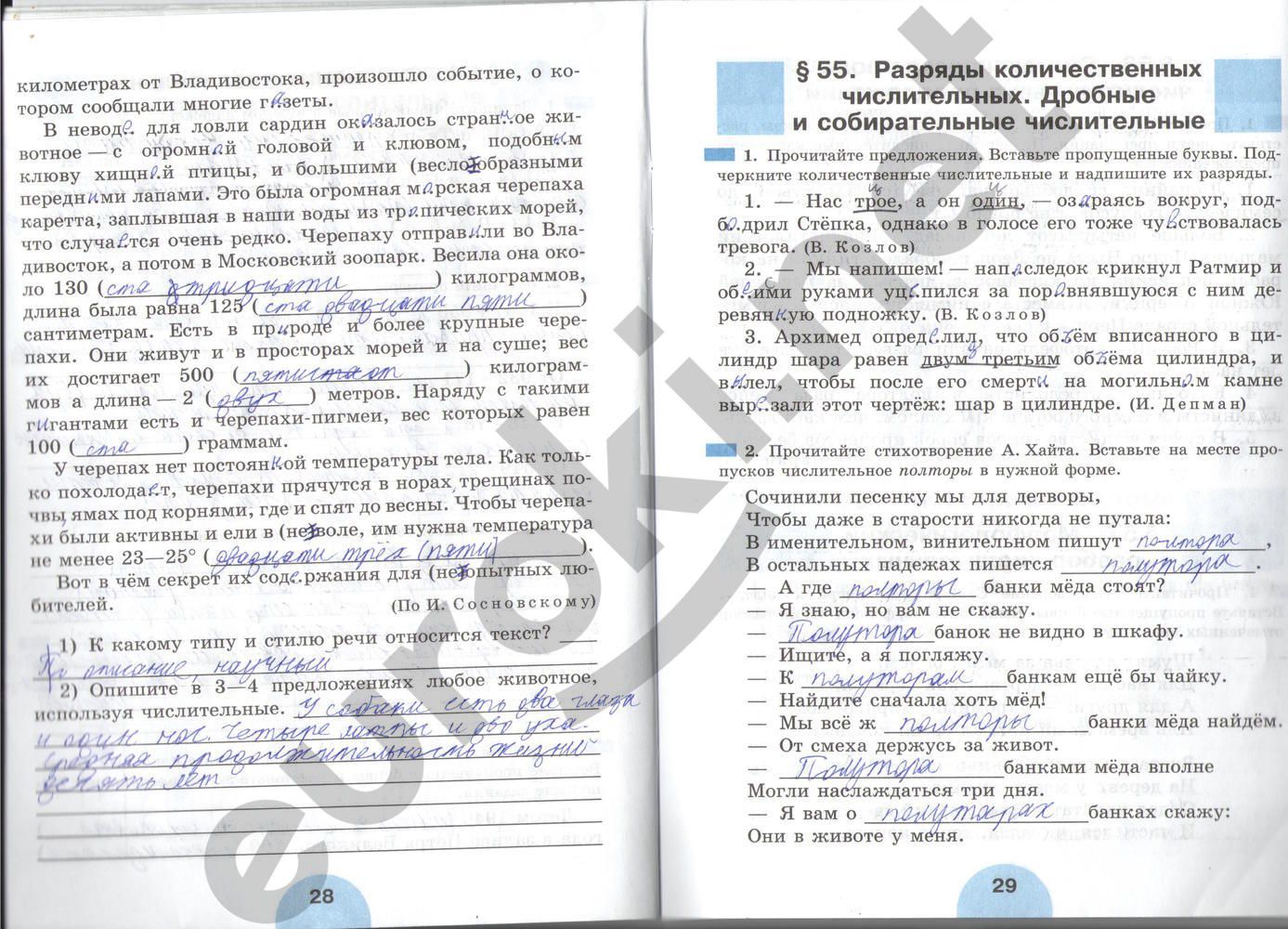 ГДЗ Русский язык 6 класс - стр. 28-29