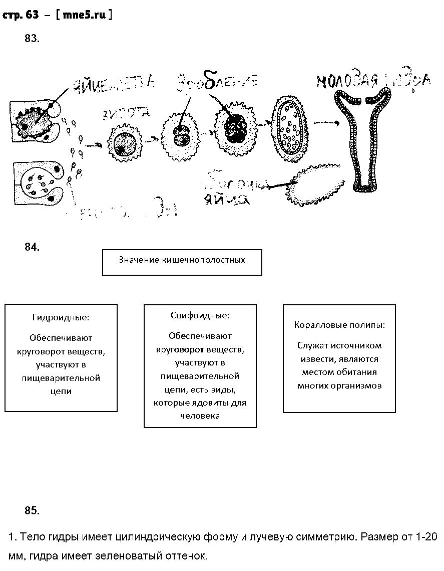 ГДЗ Биология 7 класс - стр. 63