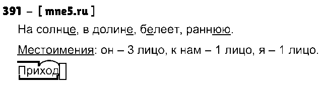 ГДЗ Русский язык 4 класс - 391
