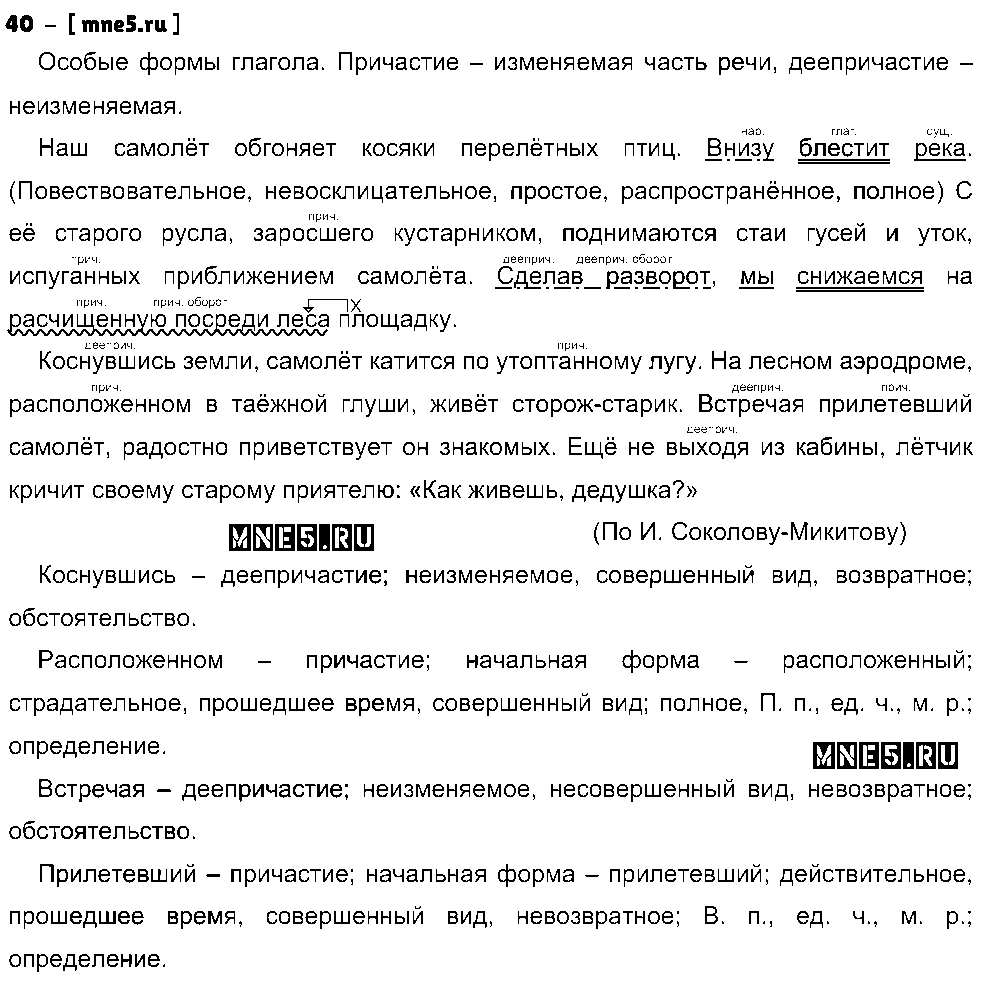 ГДЗ Русский язык 8 класс - 40