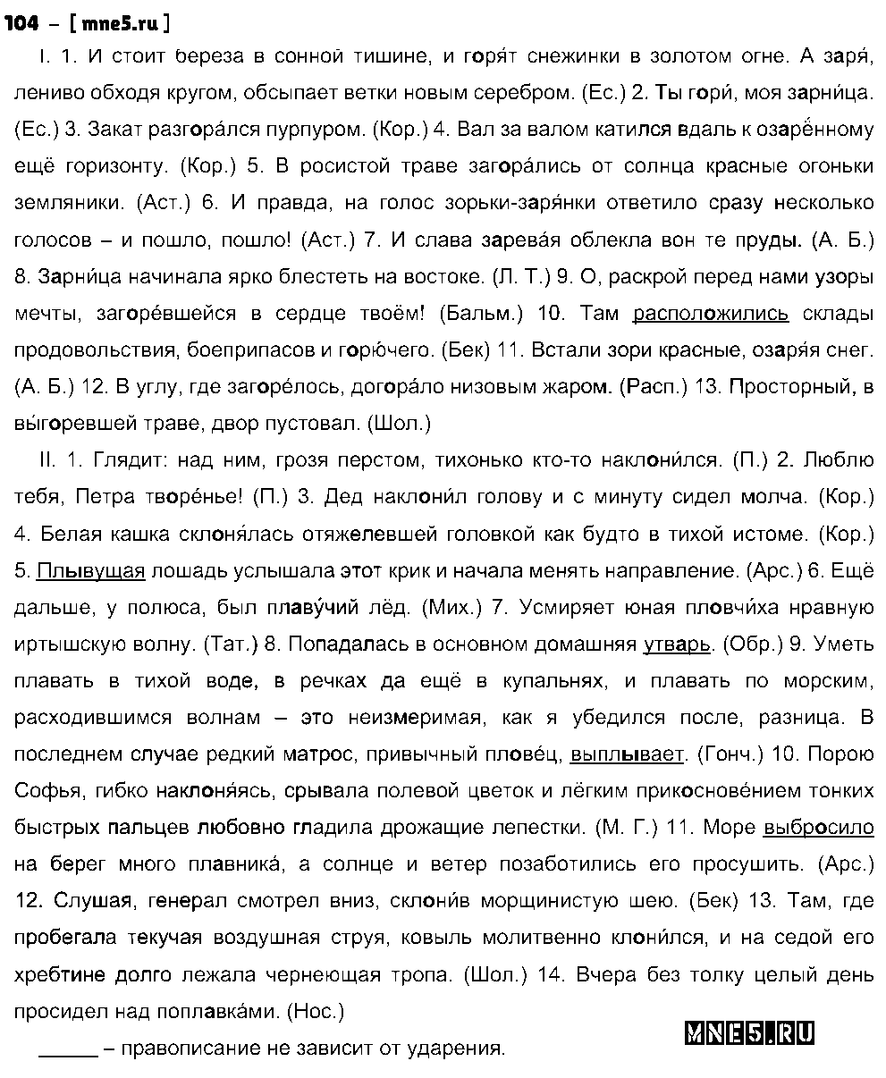 ГДЗ Русский язык 10 класс - 104