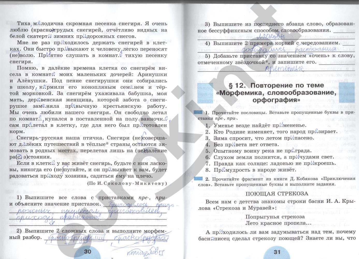 ГДЗ Русский язык 6 класс - стр. 30-31