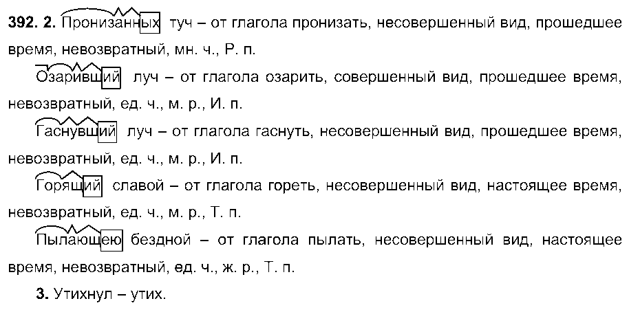 ГДЗ Русский язык 6 класс - 392