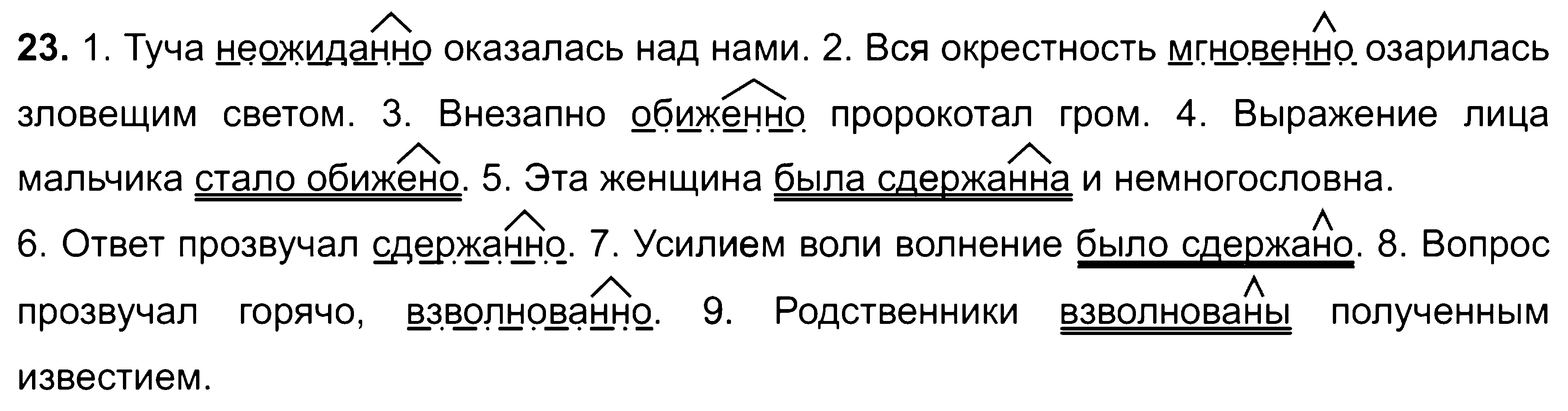 ГДЗ Русский язык 8 класс - 23