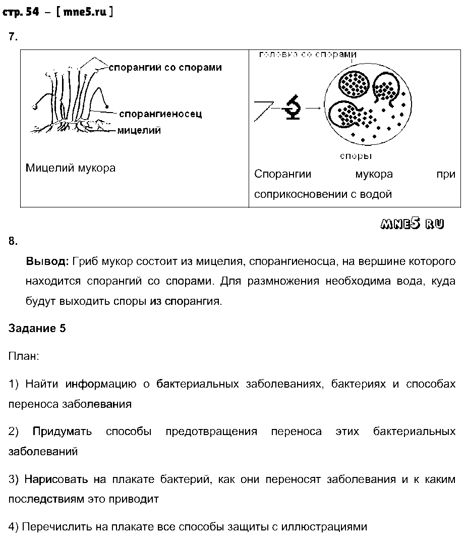 ГДЗ Биология 7 класс - стр. 54