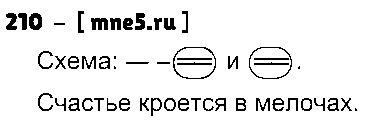 ГДЗ Русский язык 8 класс - 210