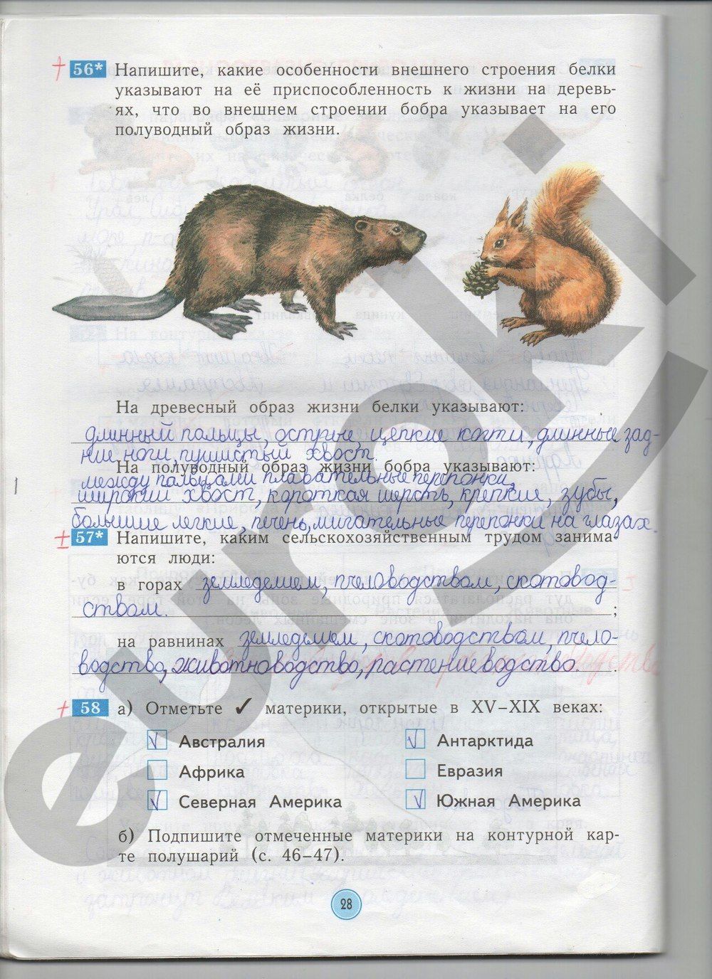 ГДЗ Биология 4 класс - стр. 28