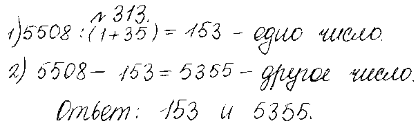 ГДЗ Математика 5 класс - 313