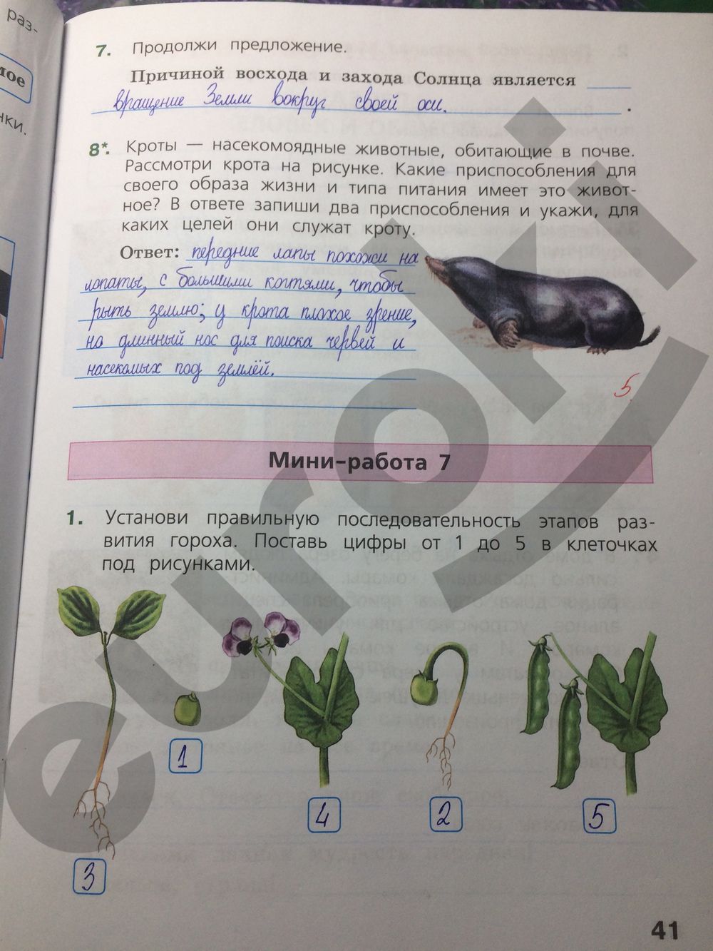 ГДЗ Биология 4 класс - стр. 41