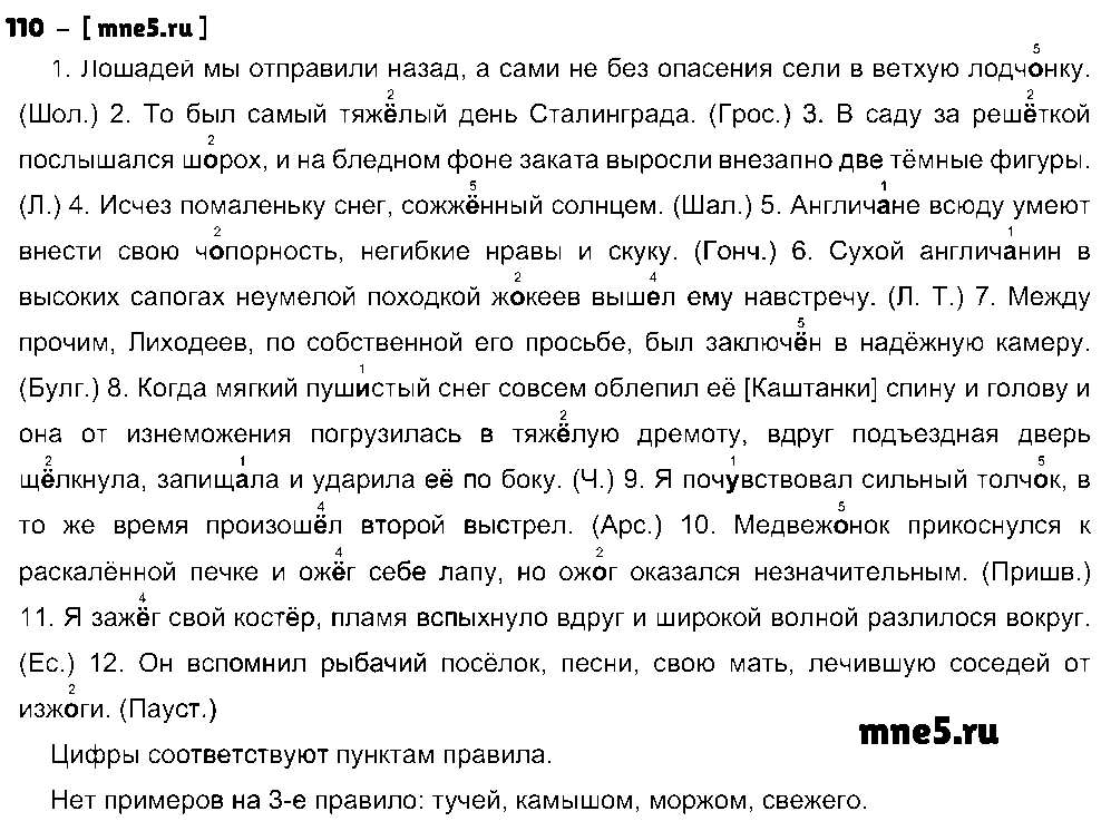 ГДЗ Русский язык 10 класс - 110