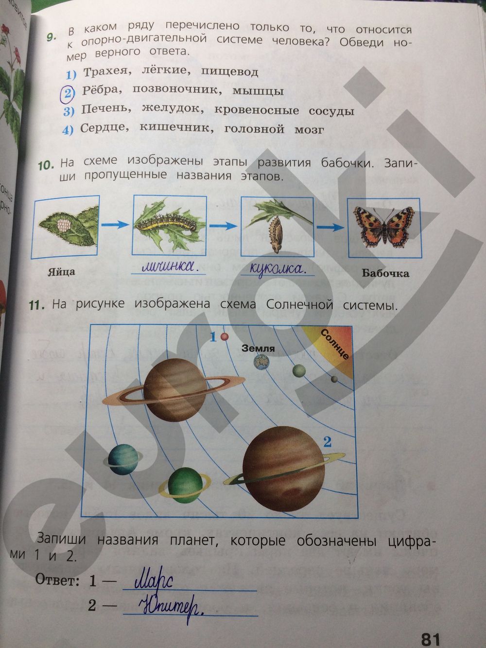 ГДЗ Биология 4 класс - стр. 81