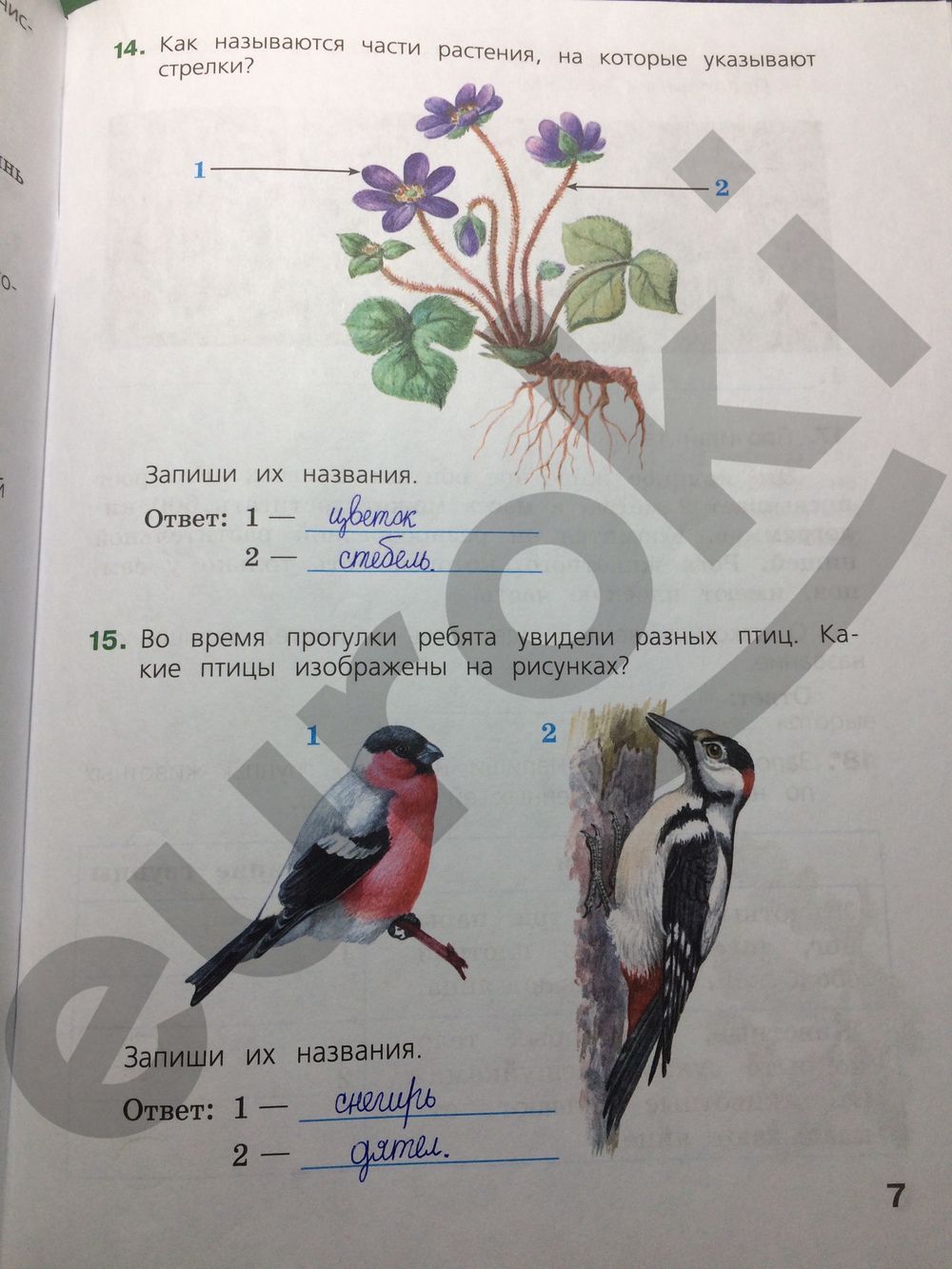 ГДЗ Биология 4 класс - стр. 7