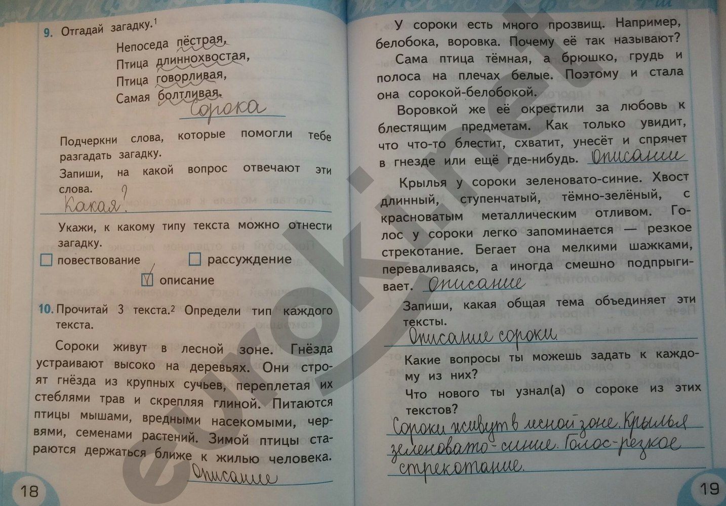 ГДЗ Русский язык 2 класс - стр. 18-19