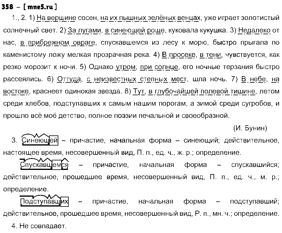 ГДЗ Русский язык 8 класс - 358