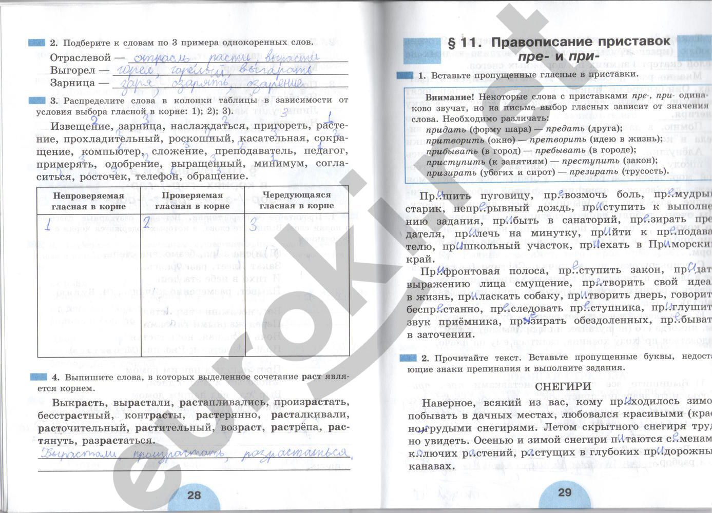 ГДЗ Русский язык 6 класс - стр. 28-29