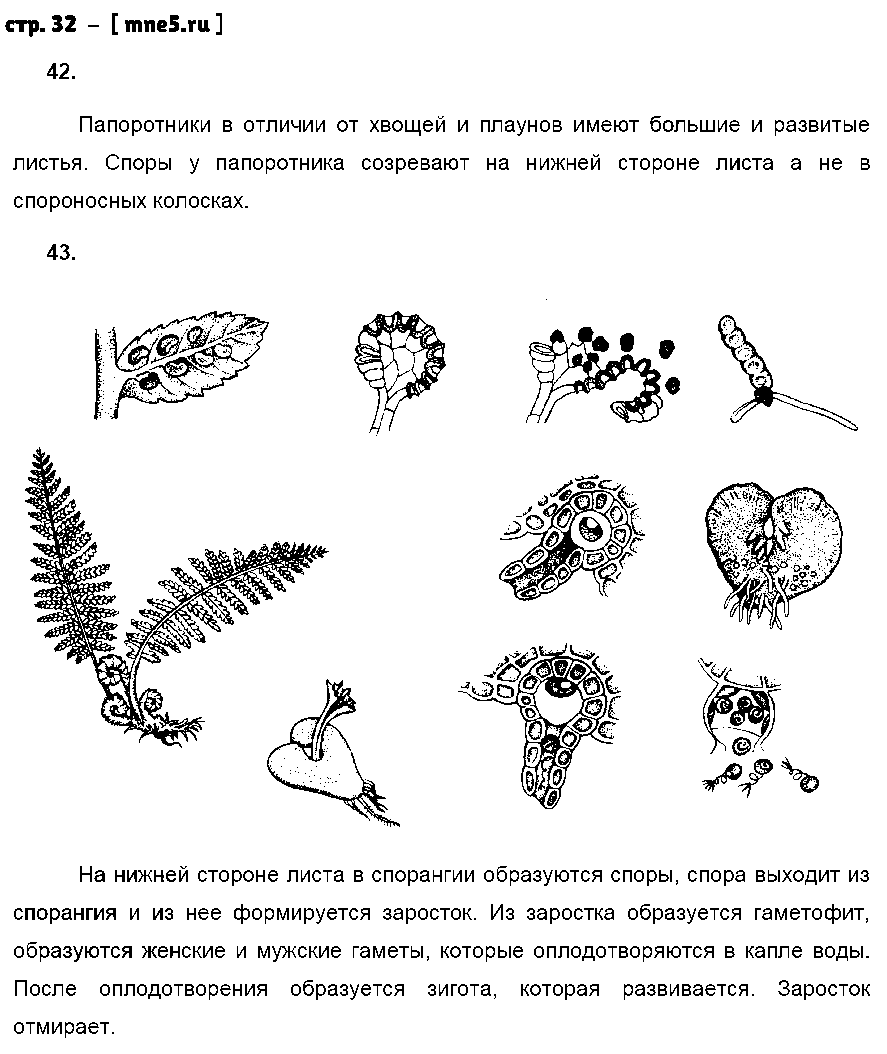 ГДЗ Биология 7 класс - стр. 32