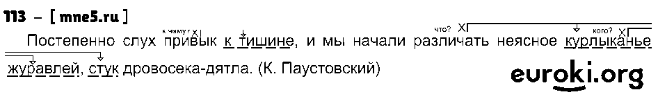ГДЗ Русский язык 8 класс - 113
