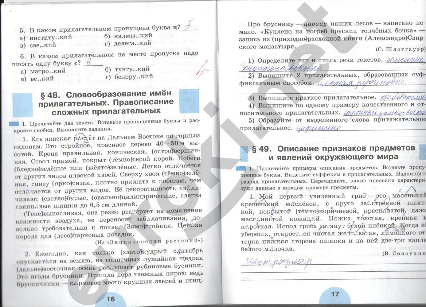 ГДЗ Русский язык 6 класс - стр. 16-17