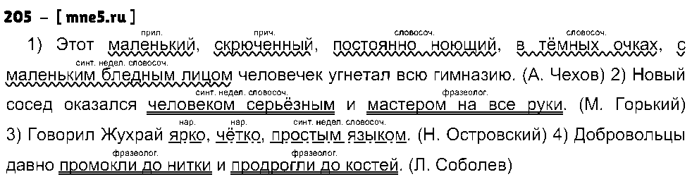 ГДЗ Русский язык 8 класс - 205